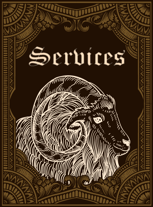 Image link to "Systems and Services" section of portfolio.